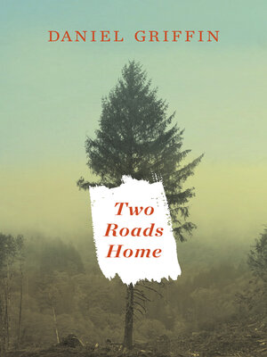 Two Roads Home - ebook